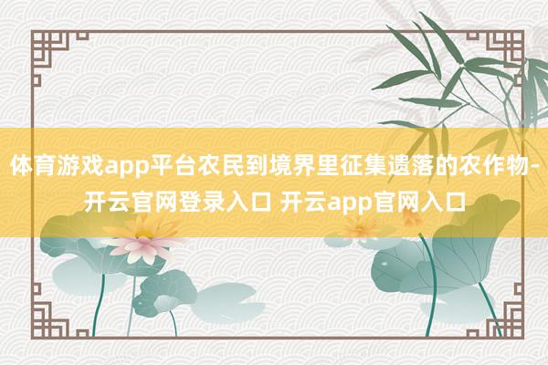 体育游戏app平台农民到境界里征集遗落的农作物-开云官网登录入口 开云app官网入口