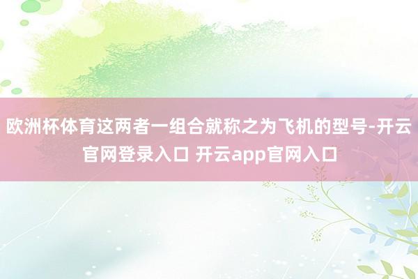 欧洲杯体育这两者一组合就称之为飞机的型号-开云官网登录入口 开云app官网入口